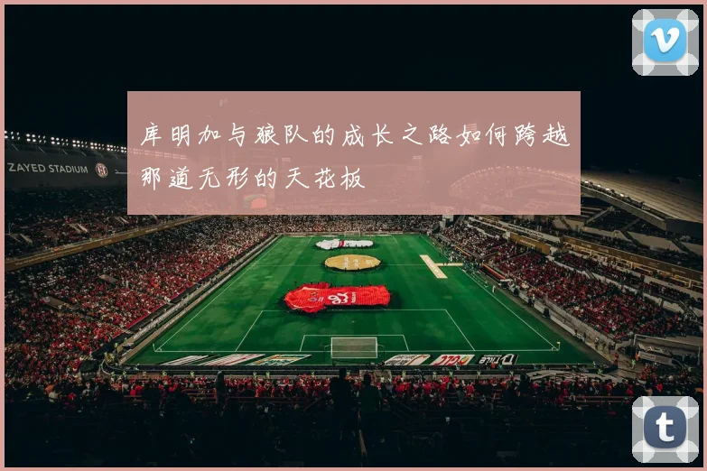 库明加与狼队的成长之路如何跨越那道无形的天花板