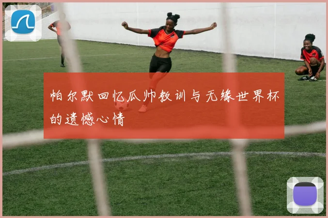 帕尔默回忆瓜帅教训与无缘世界杯的遗憾心情